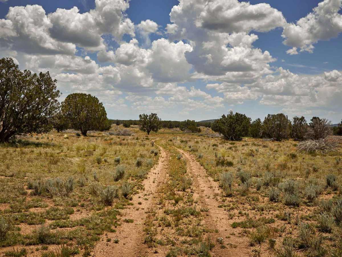 Prairie Loop photo 2