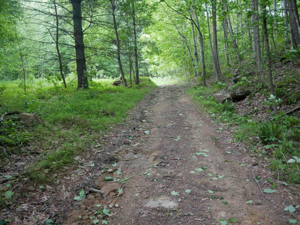 RV23 photo 6