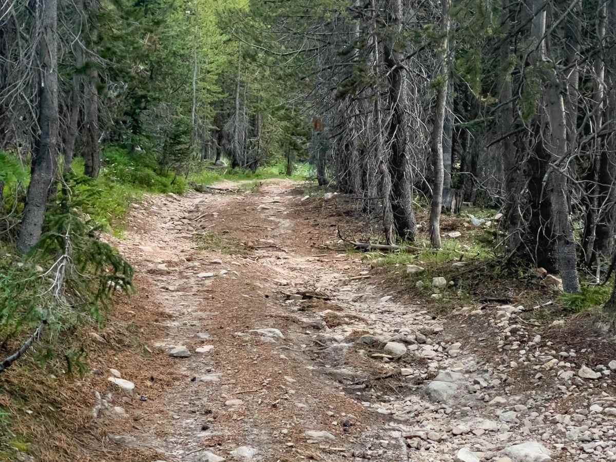 Lambert Many Rds 2 (FR 80920) trail photo