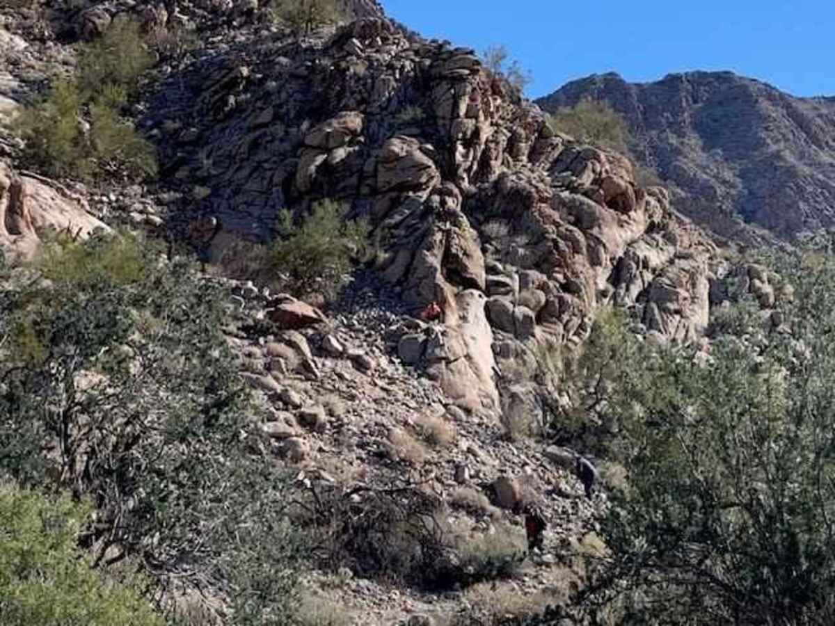 Tacna to Betty Lee Mine Spur photo 3