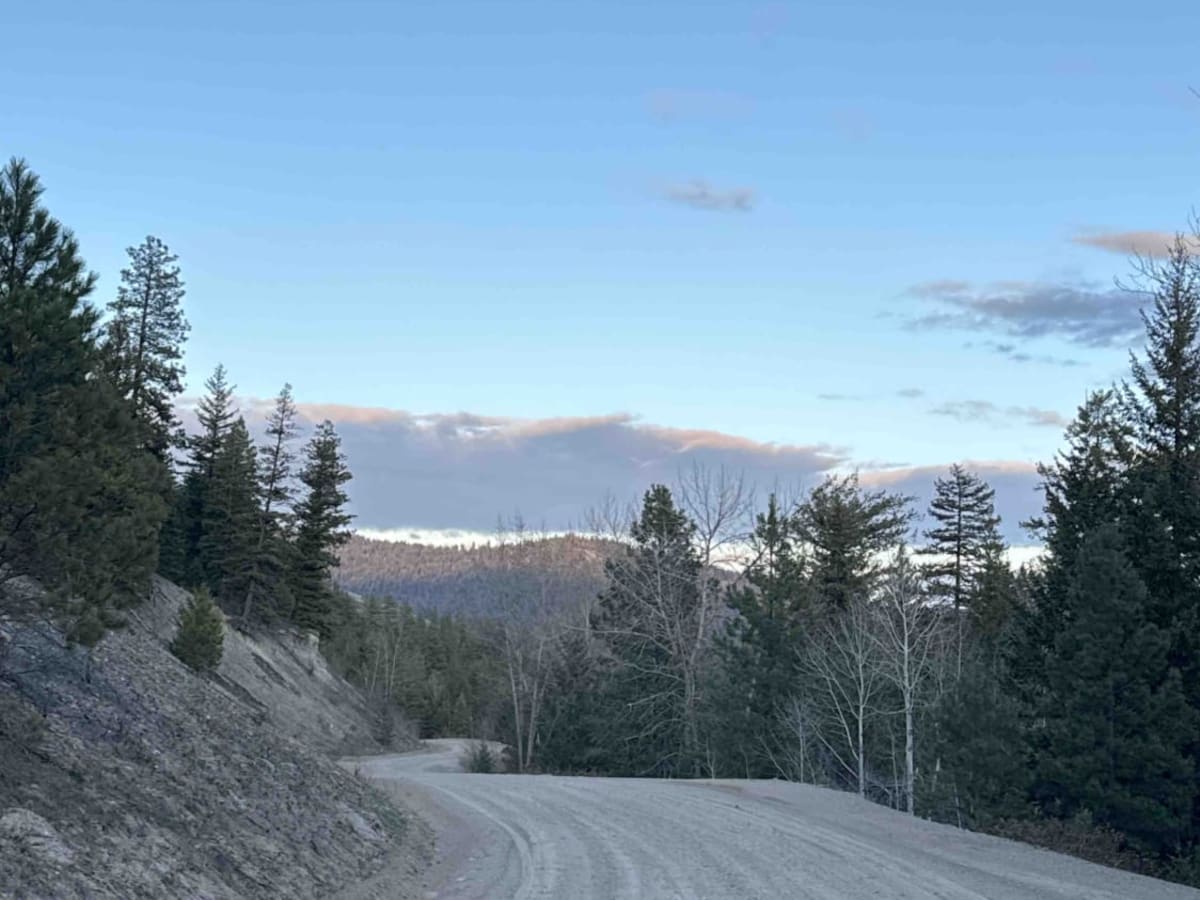 Bear Lake Main FSR photo 3