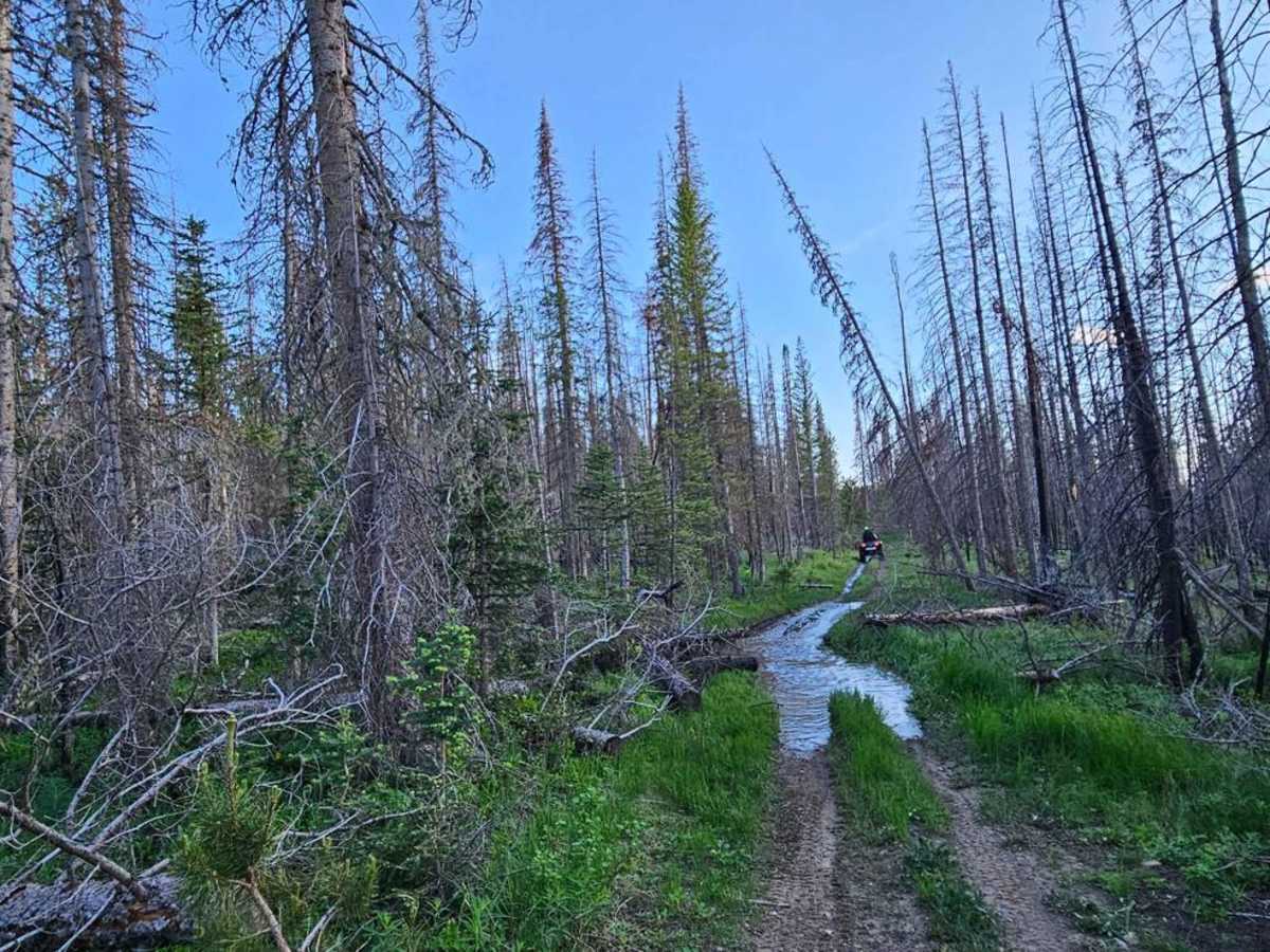 Valley Trail photo 2