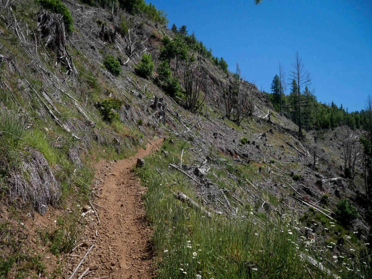 Jordan Creek #84 (Part 2) photo 2