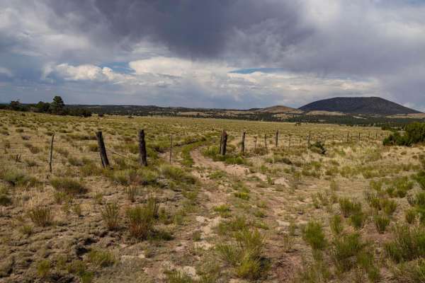 Pasture Waterline