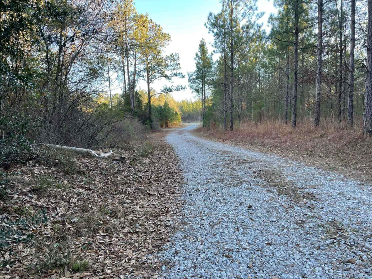 Lukes Loop photo 3