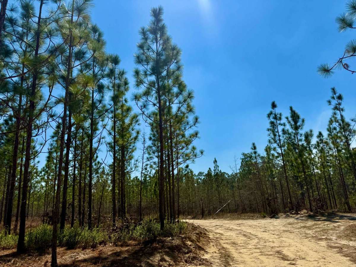 S148A trail photo