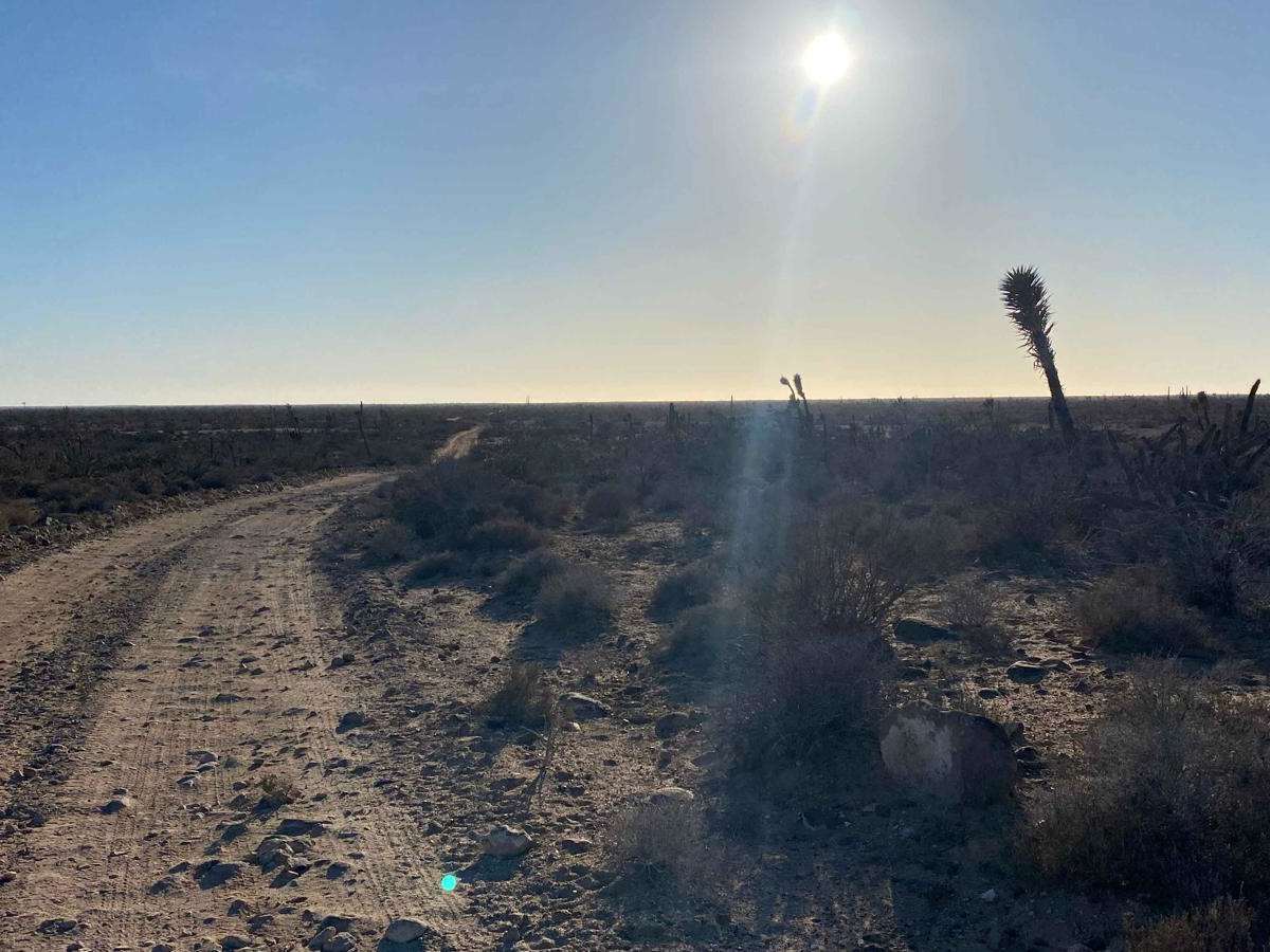 Four Corners West photo 2