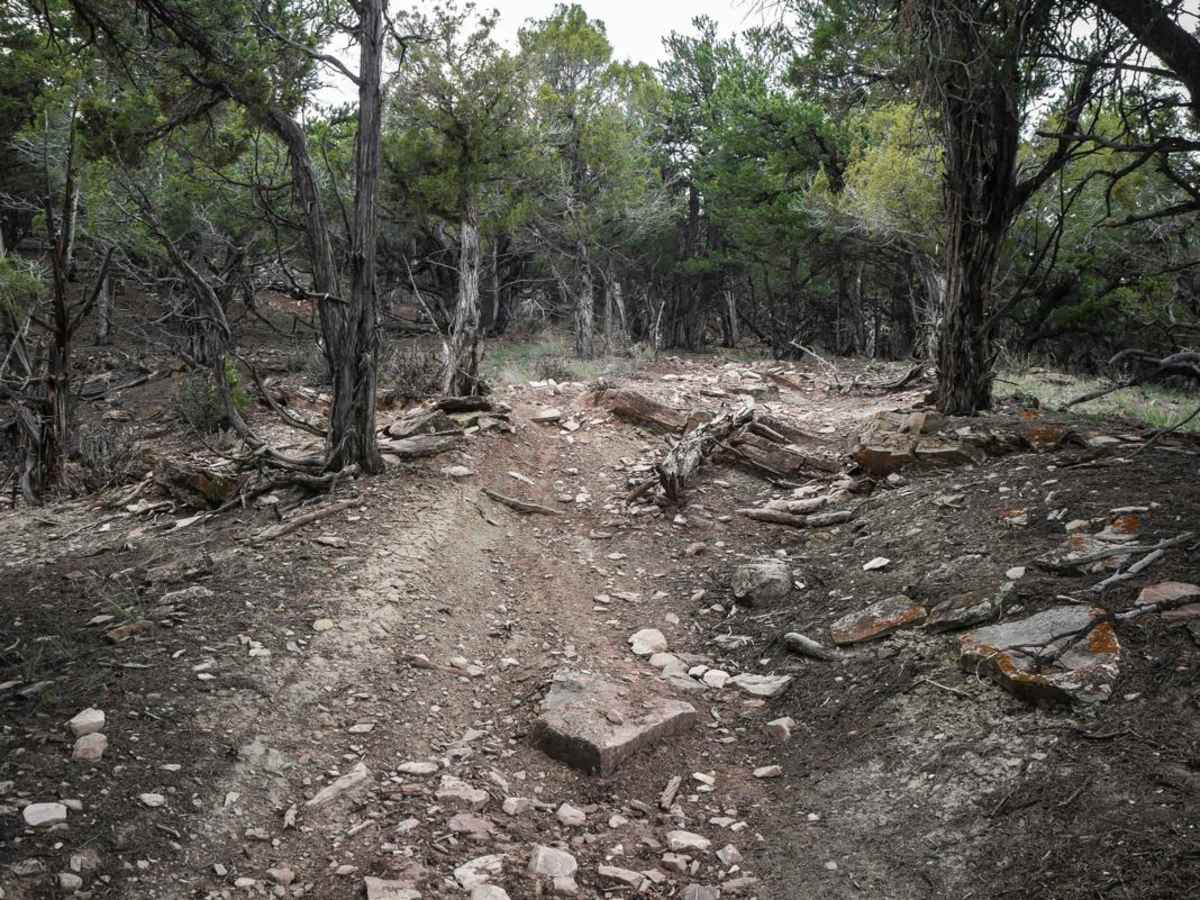 Ledge Trail photo 6