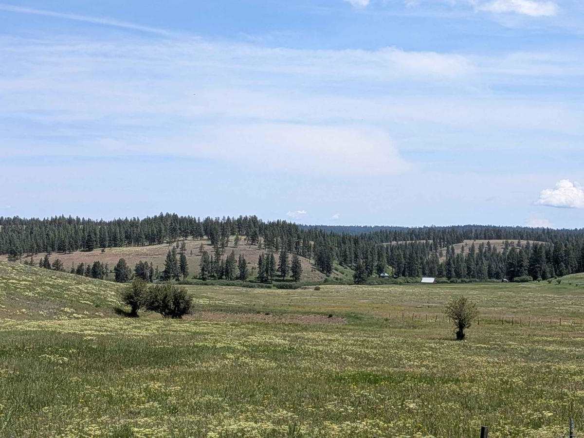 Wellamockin Road South NF46 photo 4