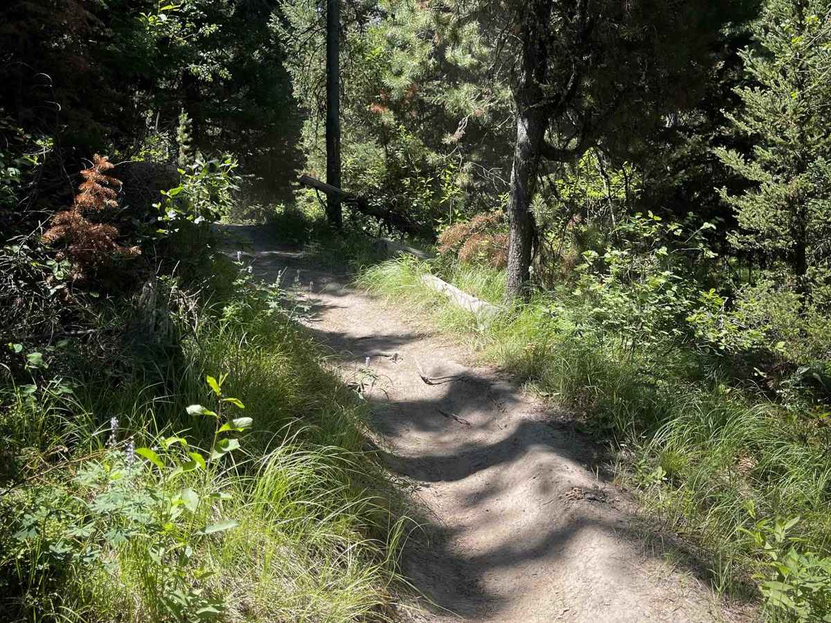 Rock Creek photo 6