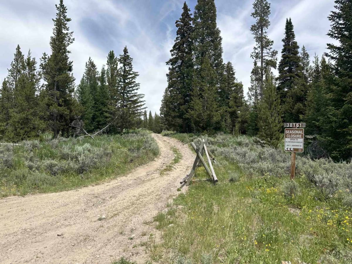 Baldy Mountain Lookout trail photo