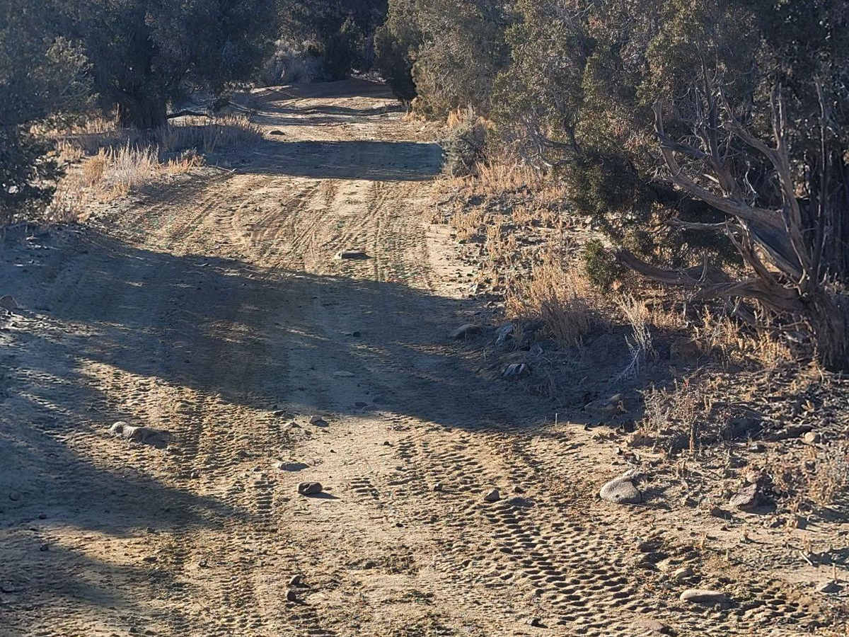 SXS/ATV Test Your Skills Trail photo 2