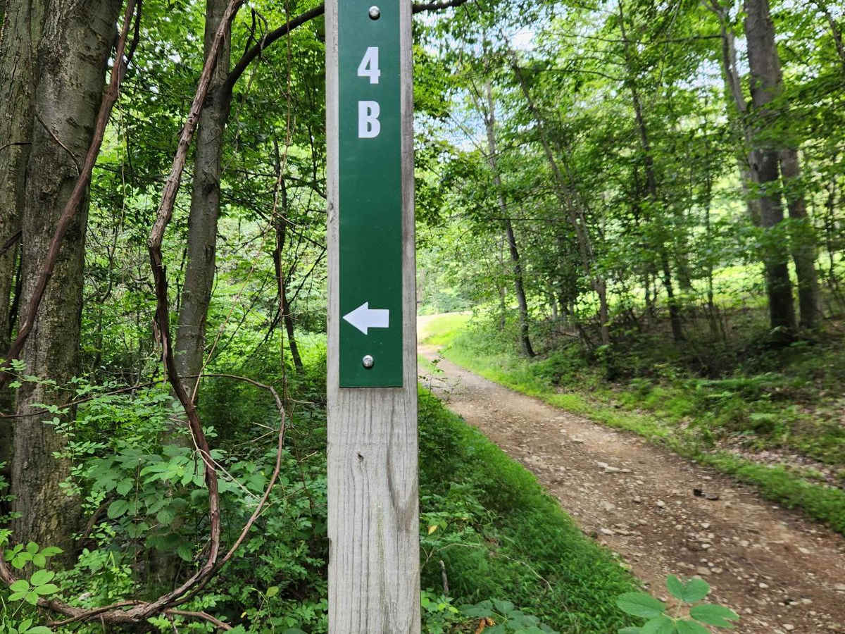 Trail 4B - Rock Run Recreation Area trail photo