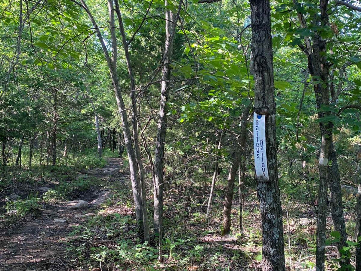 Bailey's Bailout trail photo