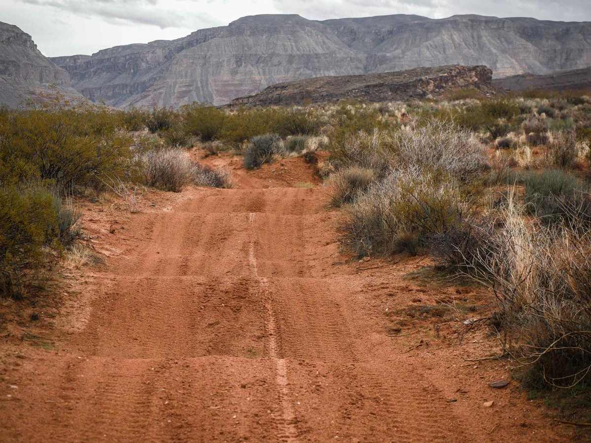1594 ATV photo 3