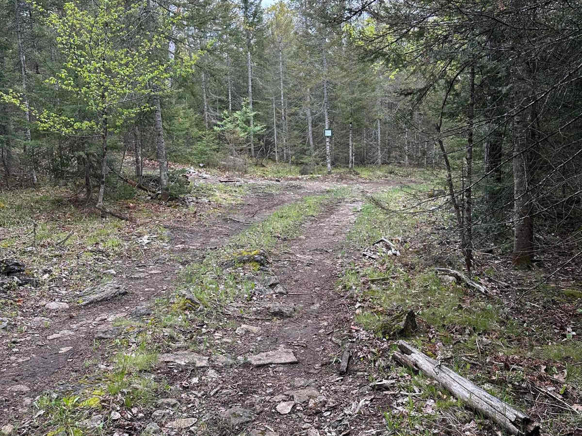 Small Ledge Loop trail photo