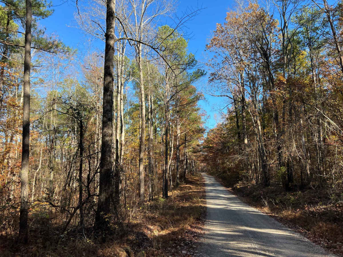 Beulah Road - FS 202 photo 5