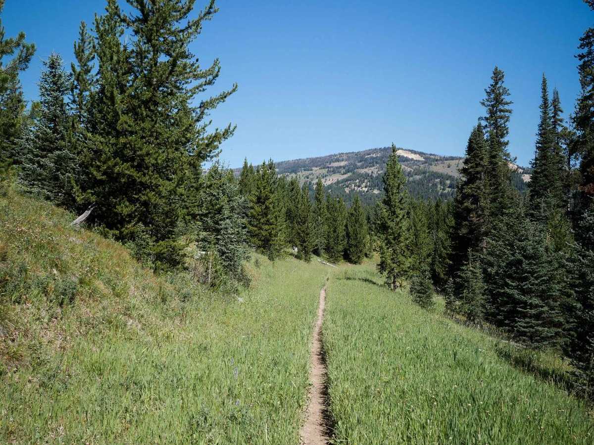 Cinnamon Meadow trail photo