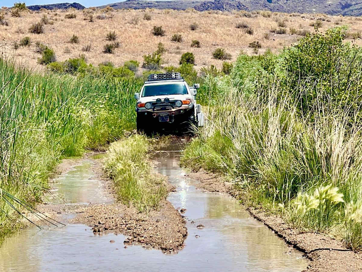 Virgin Valley Road trail photo