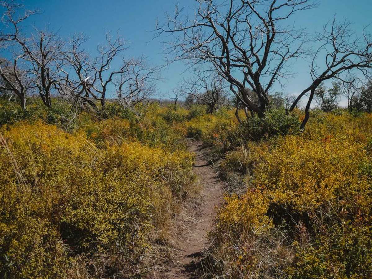 Upper Bench Trail trail photo