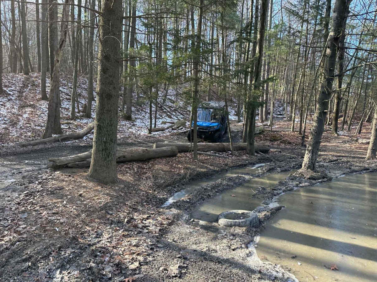 Locust Gap 36 photo 2