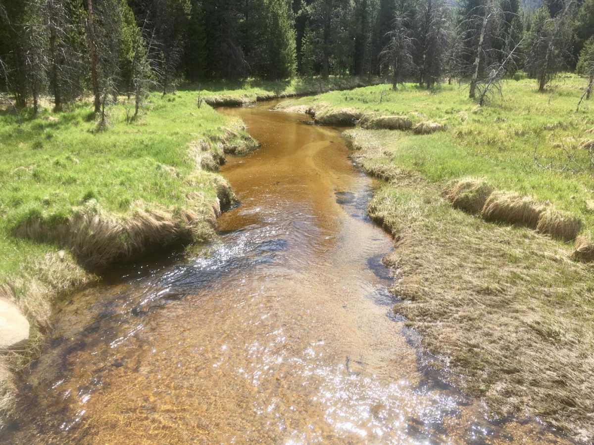 West Fork Road photo 6