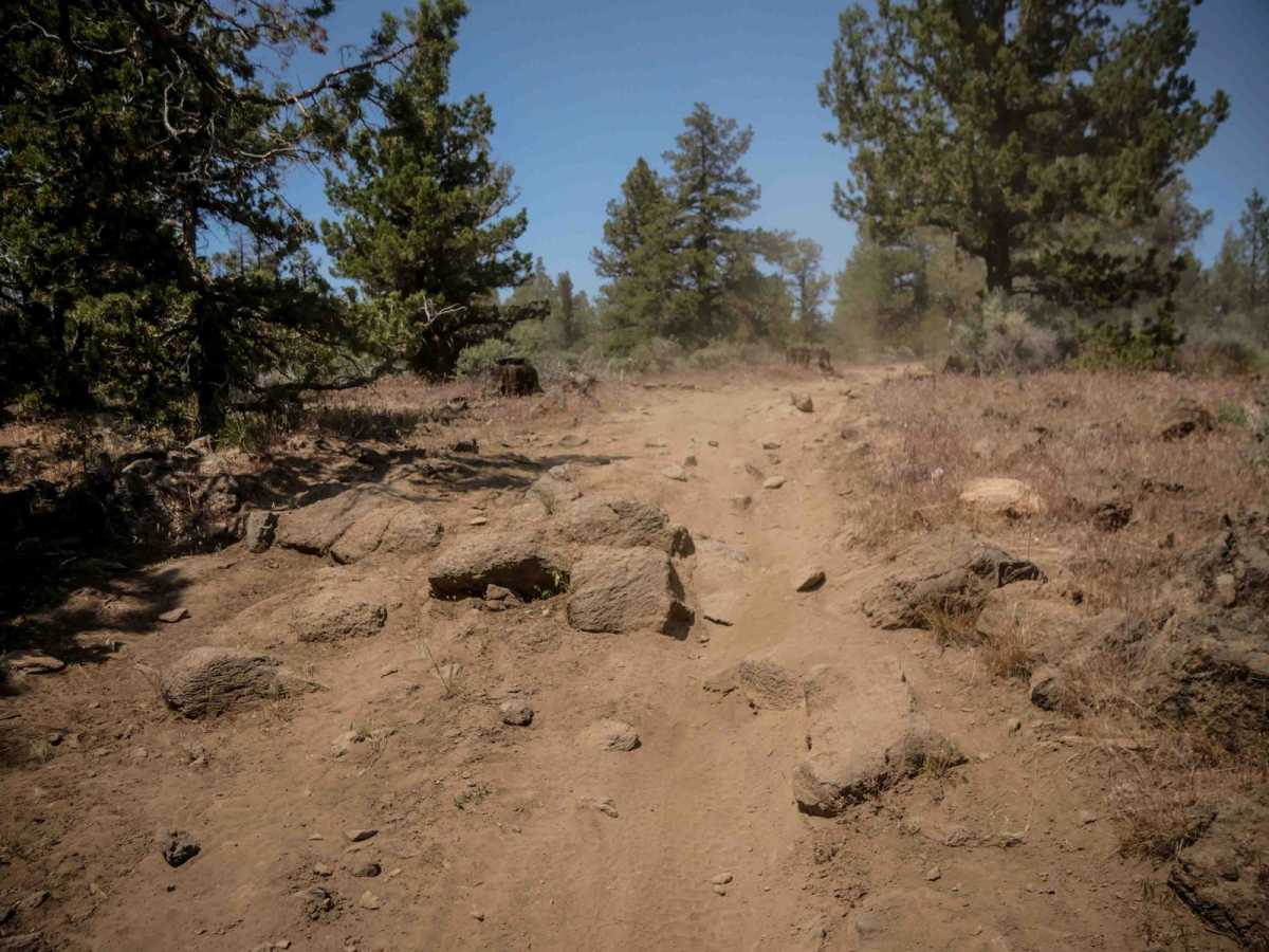 11 trail photo