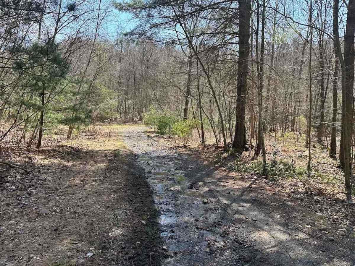 Ashland 117 trail photo