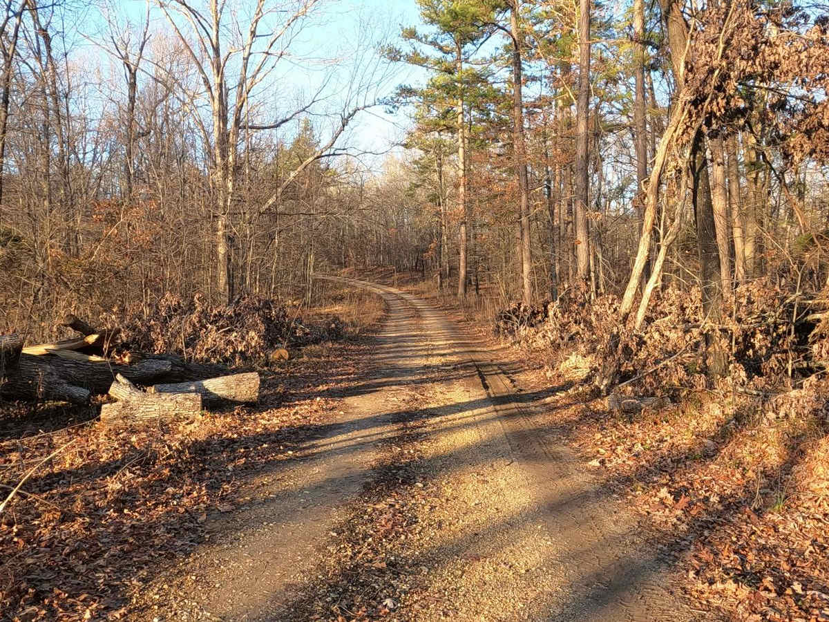 Hematite Tower Road - FS 310 photo 3