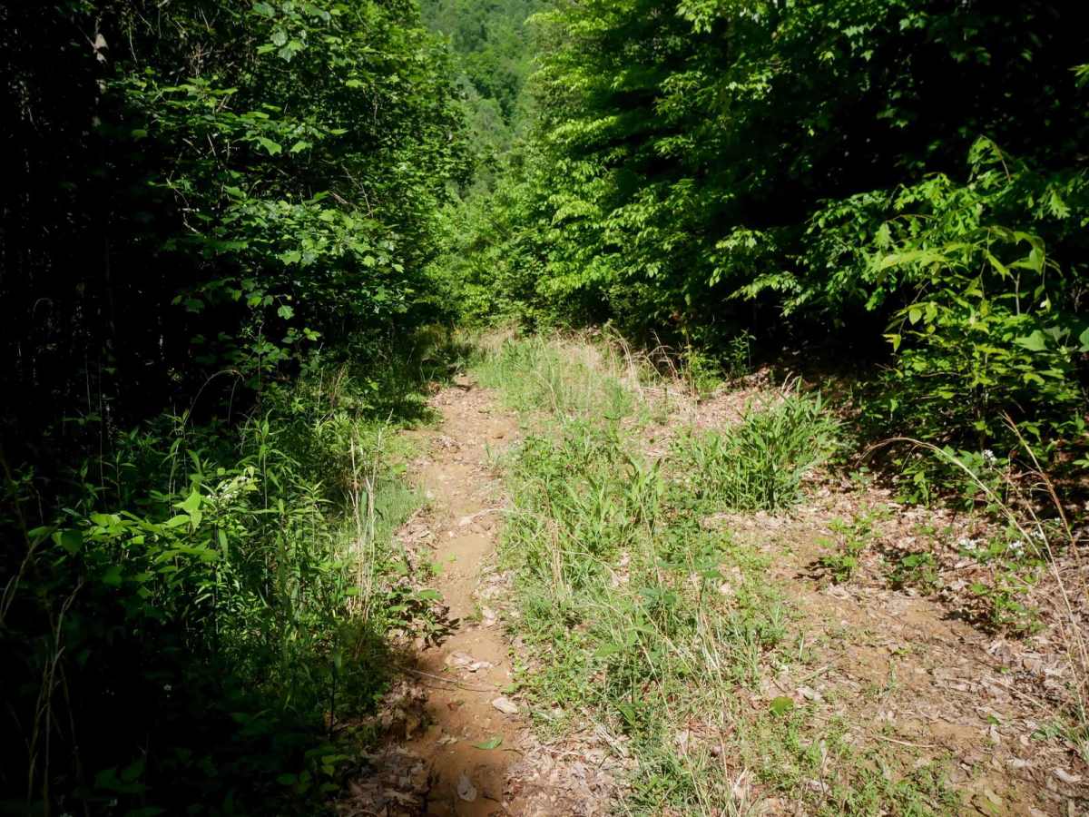 RV69 photo 5