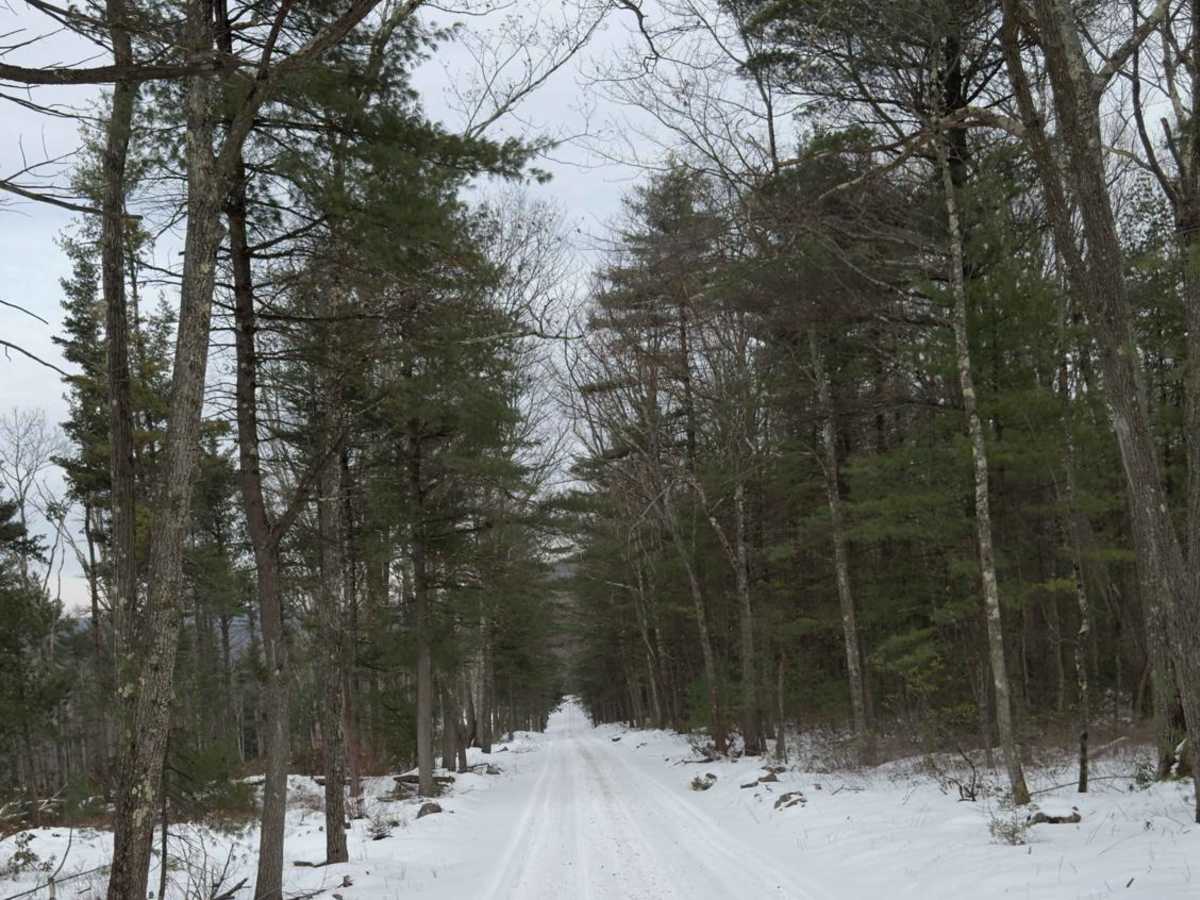 Round Top Road photo 4