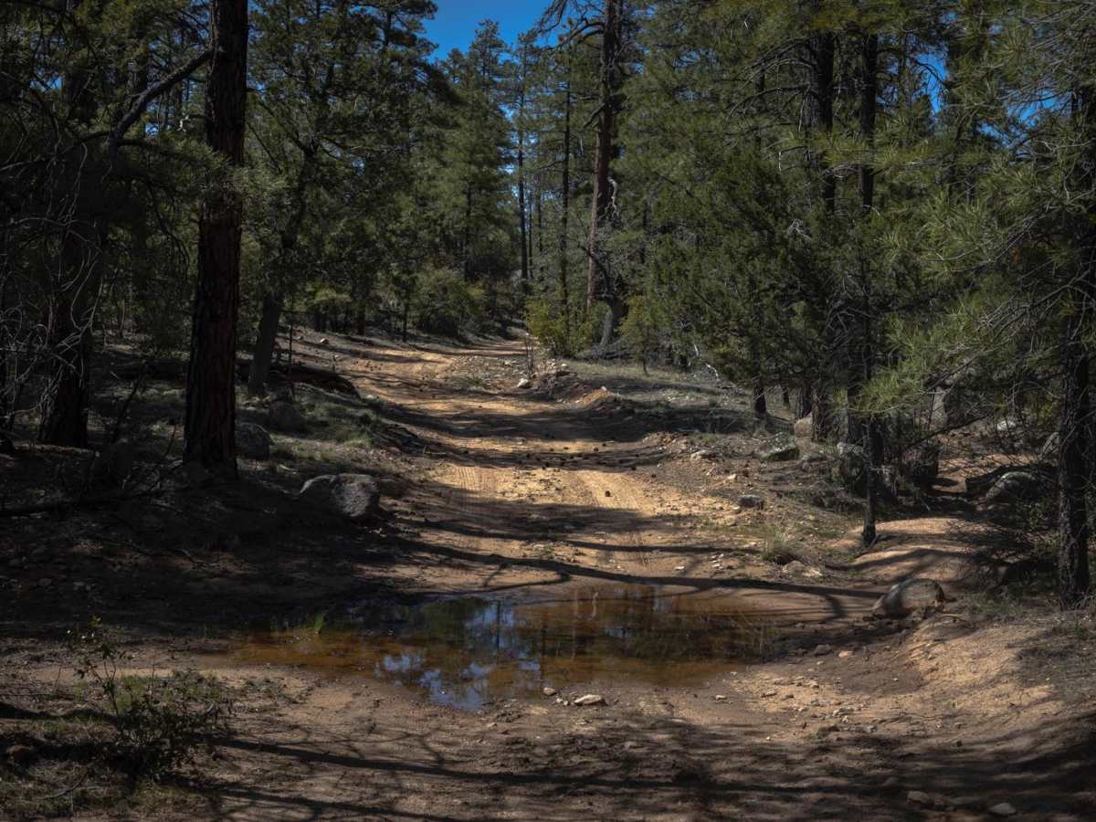 Turkey Run trail photo