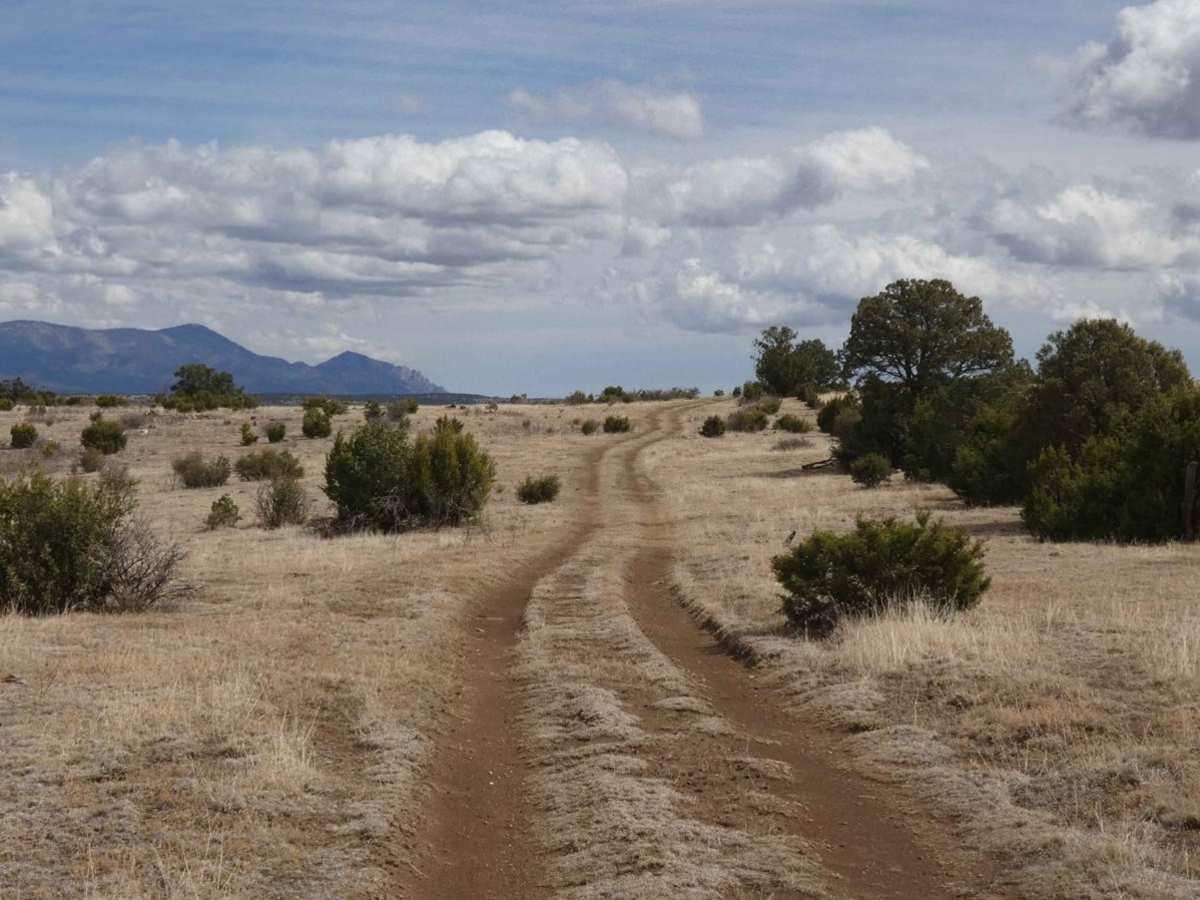 Cactus Canyon photo 3