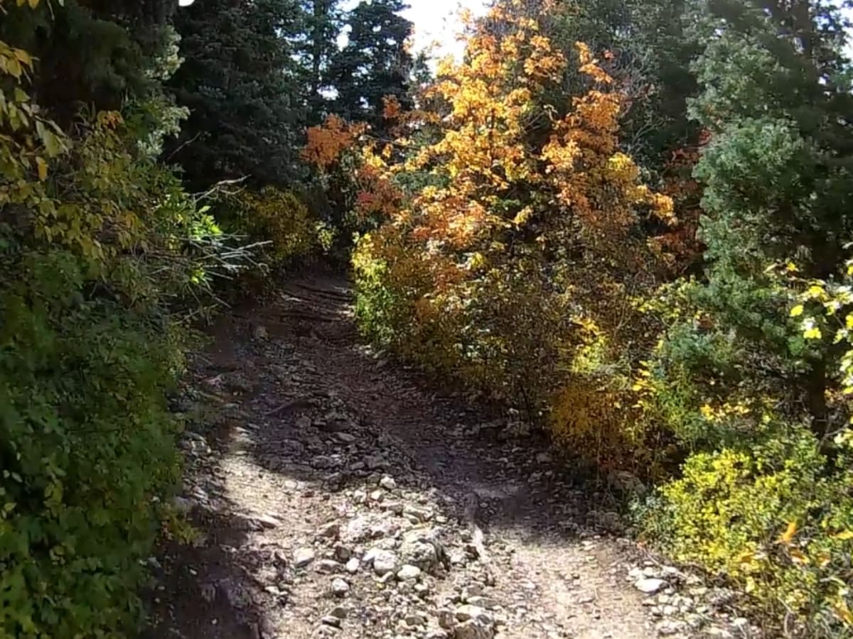 Exiting Manti Canyon photo 6
