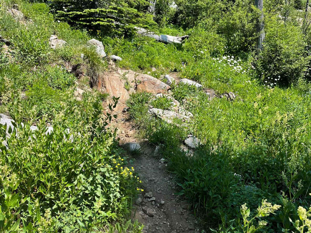 Hard Creek Basin photo 3