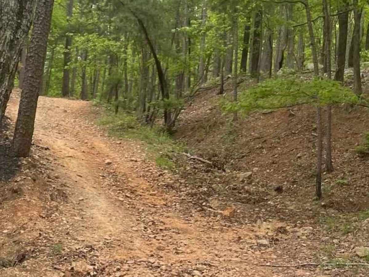Hickory Nut Trail photo 4