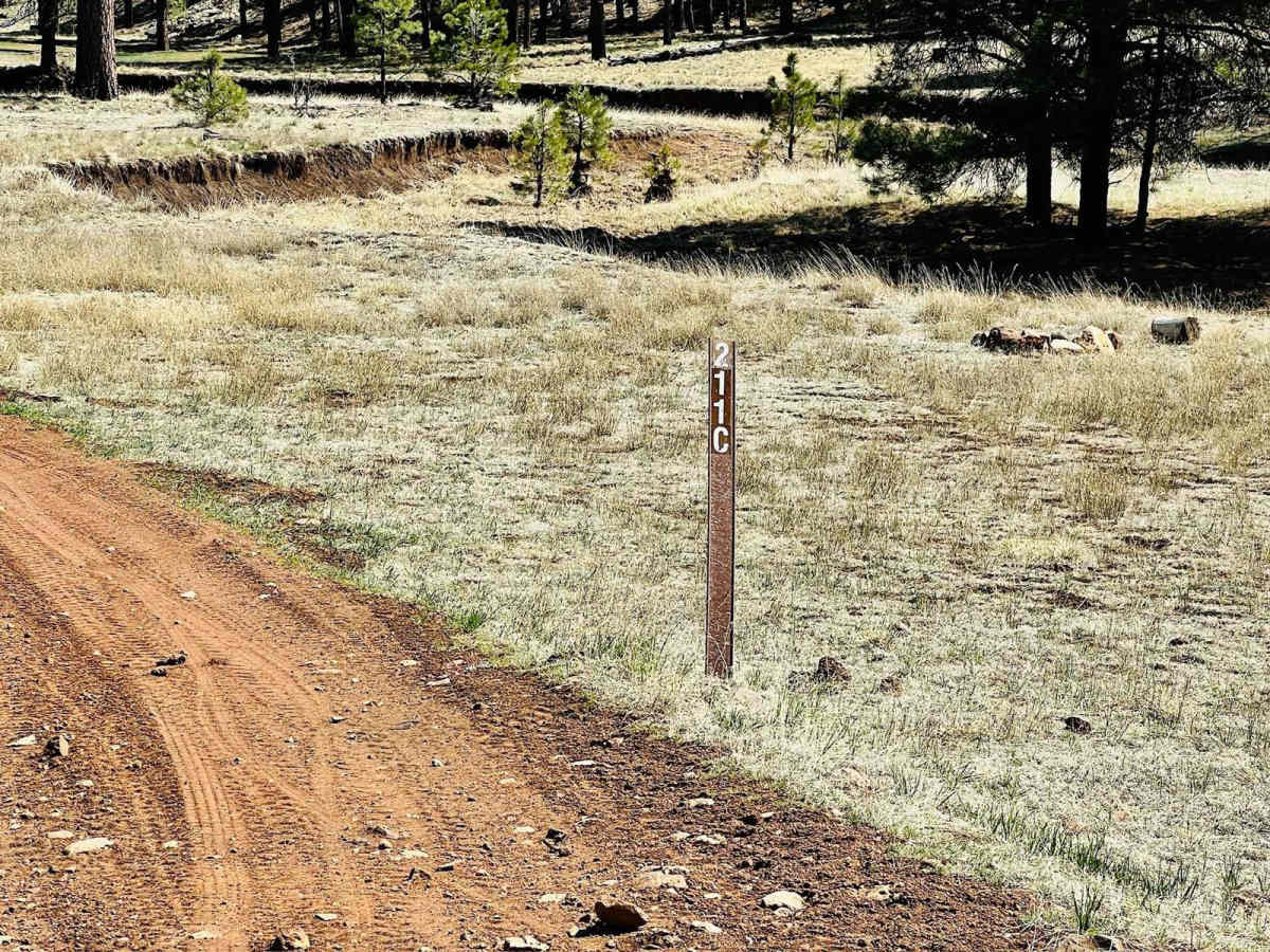Jacks Canyon photo 5