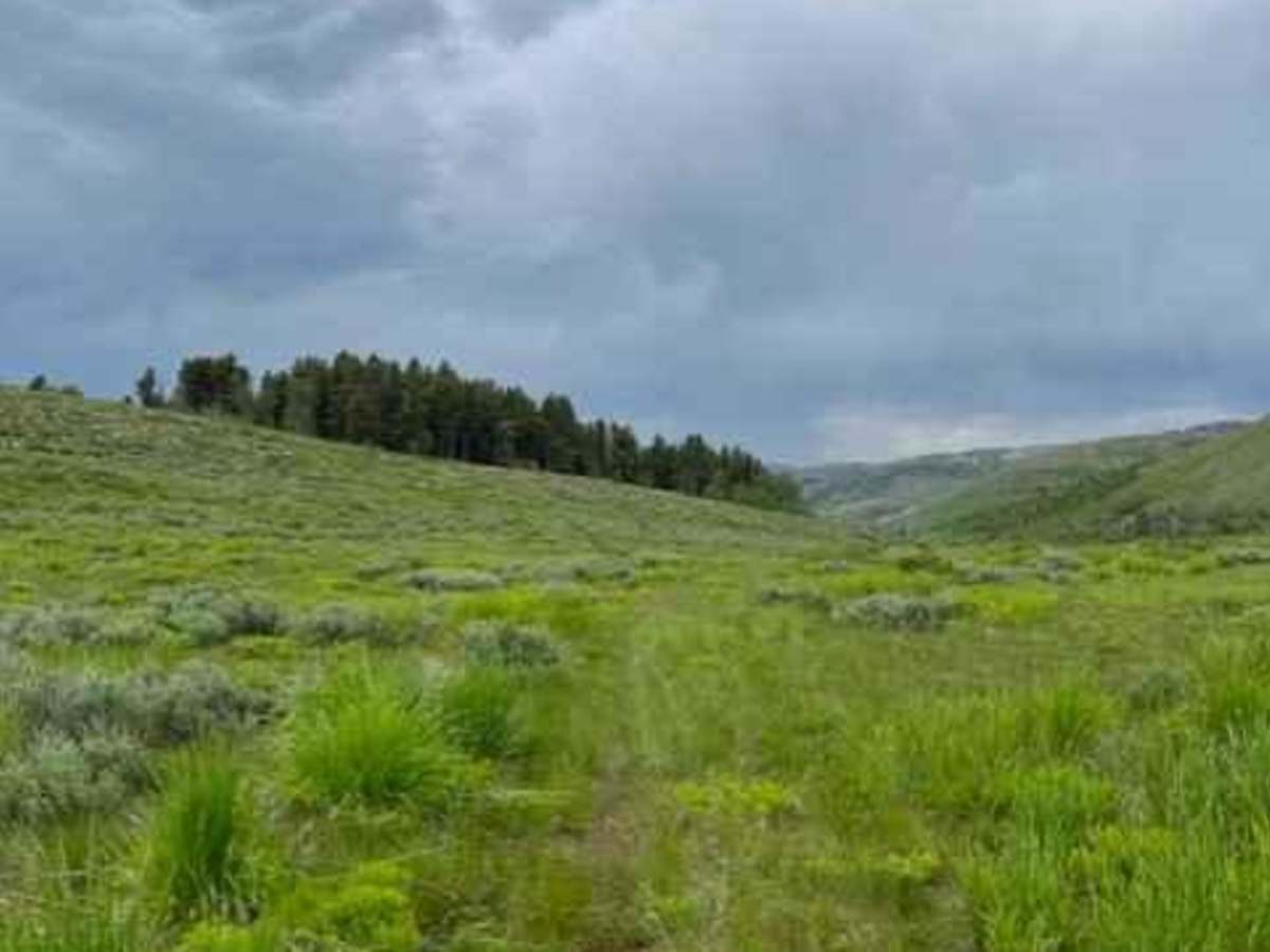 Goose Creek Single Track photo 2