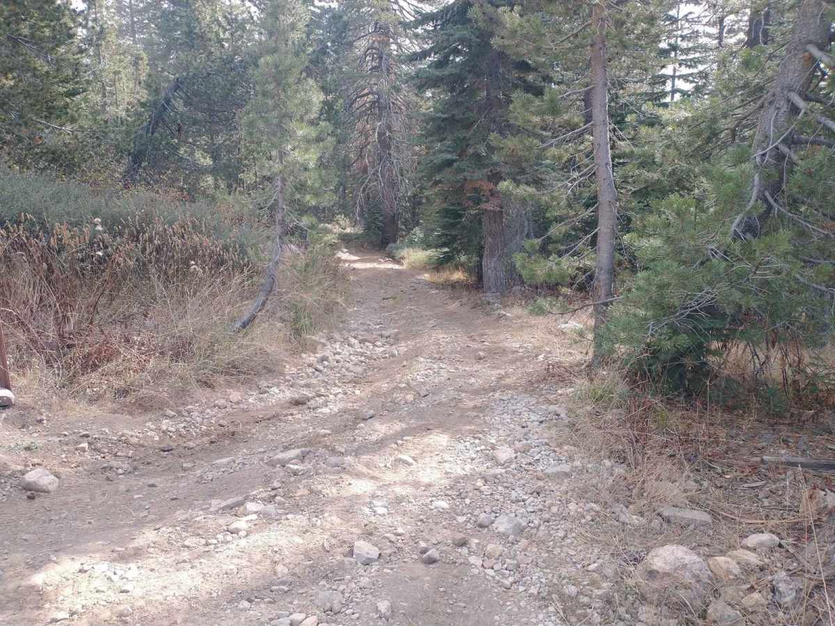 Barker Meadows OHV Trail photo 5