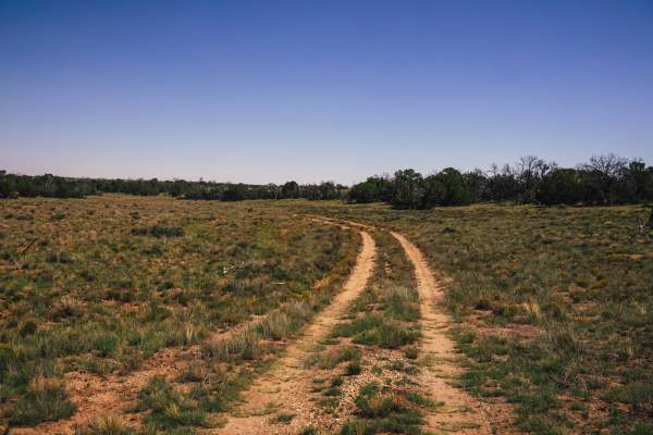 Buckhorn Canyon