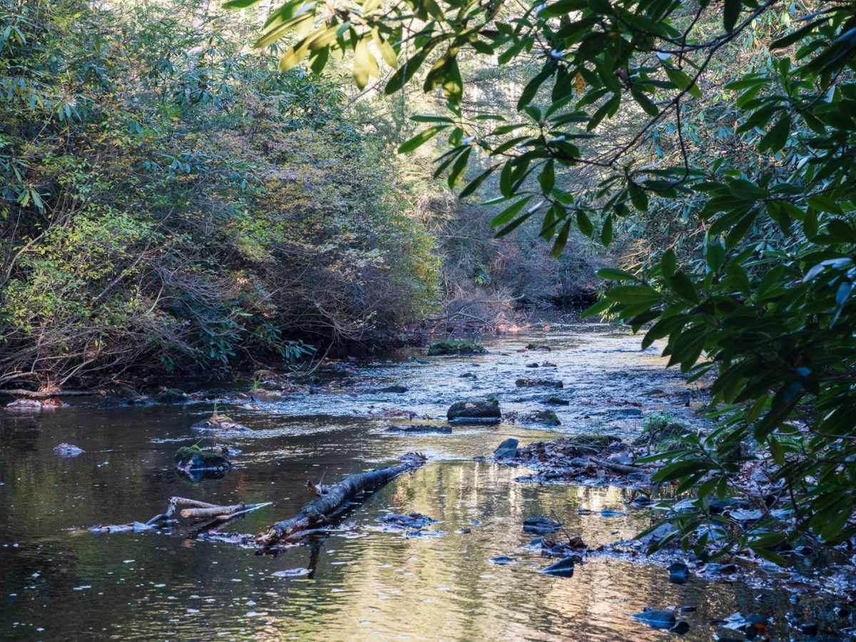 Benner Run Road trail photo