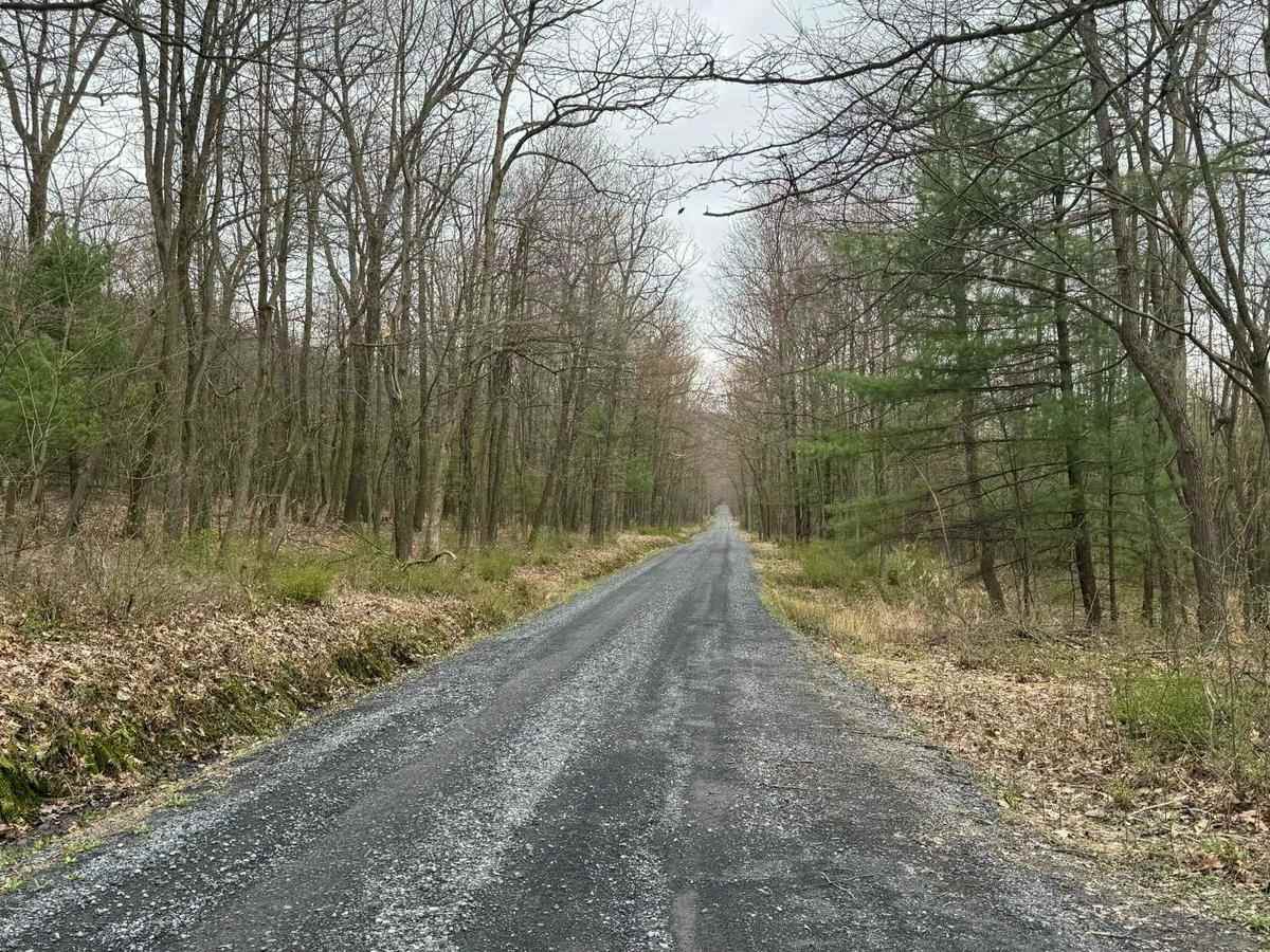 Kepler Road photo 5