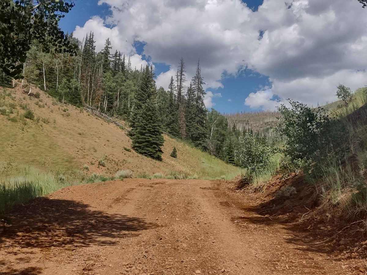 Jim Reed to "The Face" trail photo