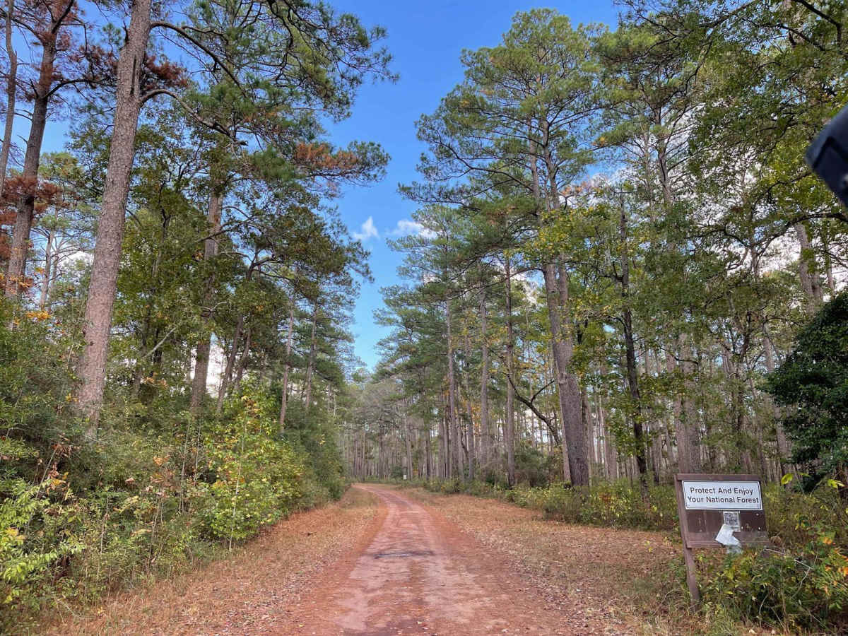 FSR - 220 trail photo