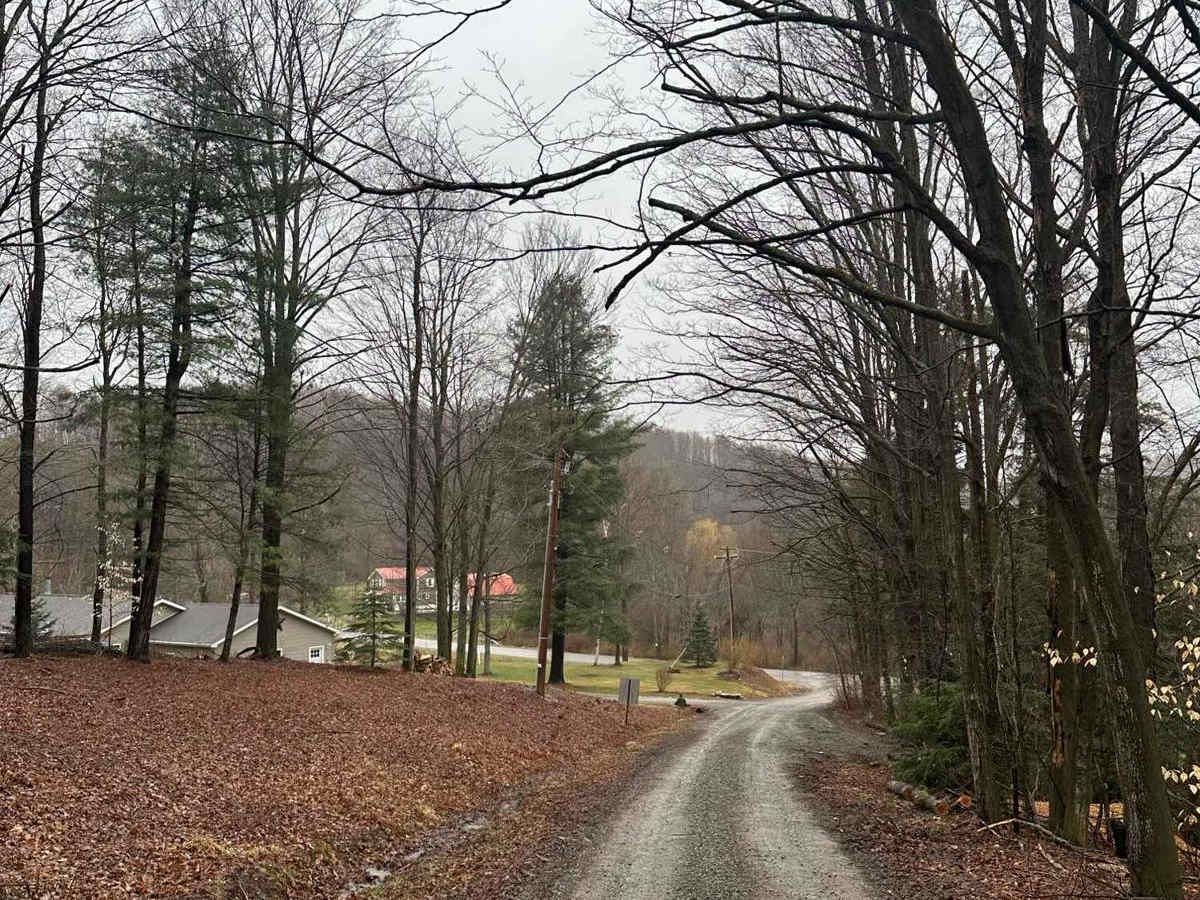 Ricewoods Road photo 4