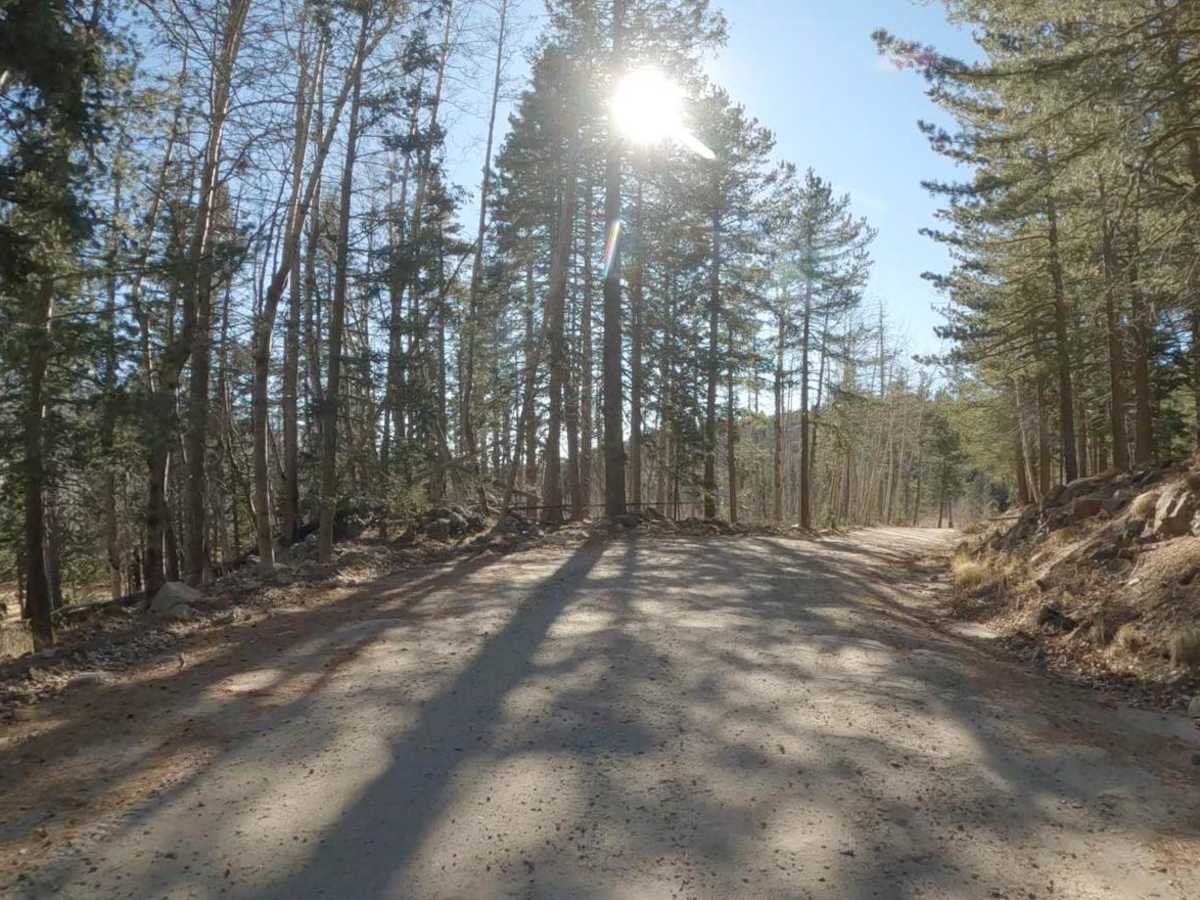 West Swift Trail 366 photo 5