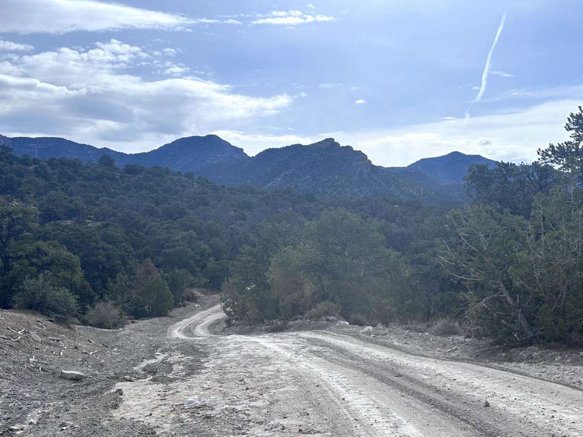 Turtle Canyon Road photo 3