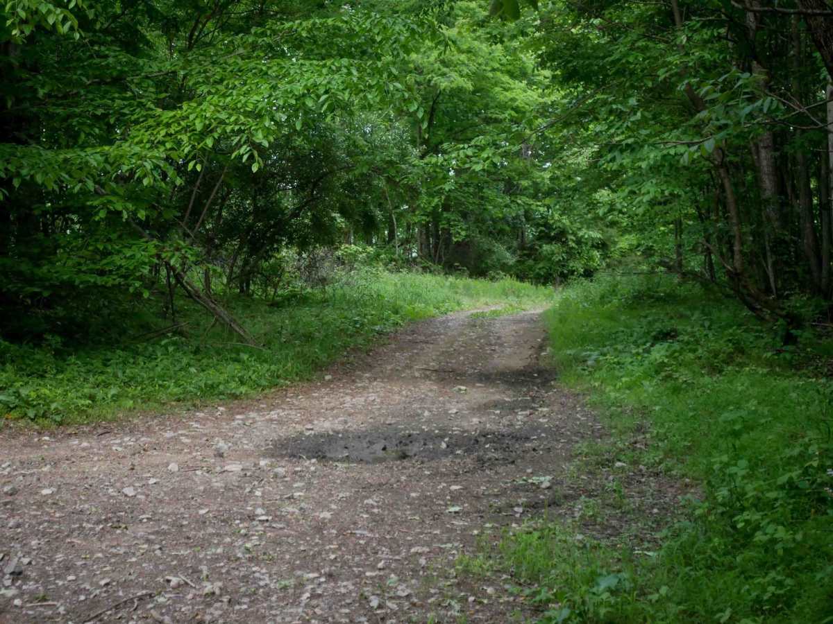 MV2 trail photo