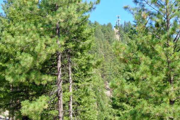 Thompson Peak Lookout Tower