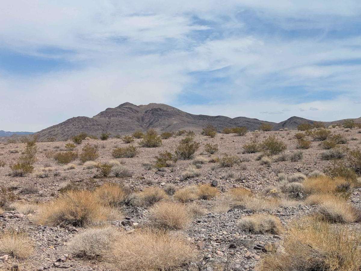 Rocky Wash photo 4